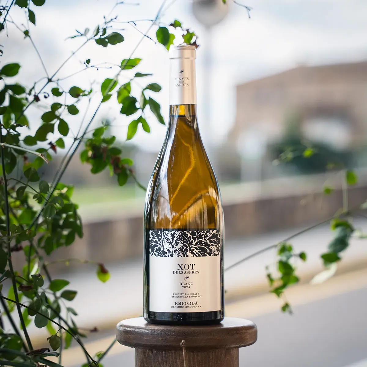 Image gallery marquee